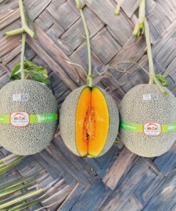 Dưa Lưới Mật